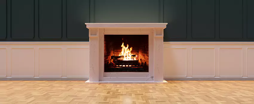 Napoleon Electric Fireplaces Inspection Service in Americus, Georgia