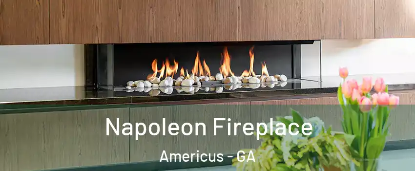  Napoleon Fireplace Americus - GA